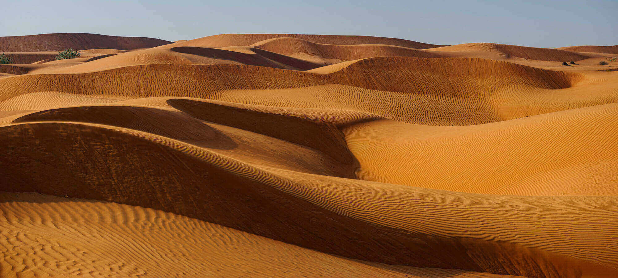 Yellow Desert Dunes And Sky
